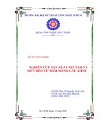 NGHIÊN cứu sản XUẤT NECTAR và mứt dẻo từ TRÁI MÃNG cầu XIÊM 
