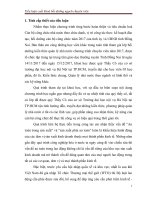 tieu luan quan ly nha nuoc lop chuyen viên tai nan lao dong