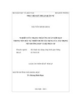 Nghiên cứu trạng thái ứng suất giới hạn trong nền đất tự nhiên dưới tác dụng của tải trọng nền đường đắp và bệ phản áp ( Luận án tiến sĩ)