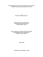 TSS water content and firmness in mango