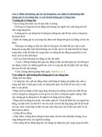 16 Câu đáp án Những nguyên lí cơ bản của chủ nghĩa MácLênin 2