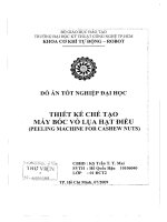 Thiết kế chế tạo máy bóc vỏ lụa hạt điều 