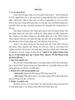 Quản lý xây dựng trường THCS đạt chuẩn Quốc Gia ở huyện Thủy Nguyên, thành phố Hải Phòng trong giai đoạn hiện nay (tt)