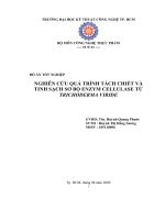 NGHIÊN cứu QUÁ TRÌNH TÁCH CHIẾT và TINH SẠCH sơ bộ ENZYM CELLULASE từ TRICHODERMA VIRIDE (2) 
