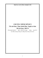 Chương trình mô đun hàn nguội cơ bản