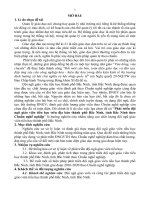 Phát triển đội ngũ giáo viên tiểu học trên địa bàn thành phố Bắc Ninh, tỉnh Bắc Ninh theo chuẩn nghề nghiệp (tt)