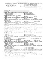 Đề thi tham khảo  PTTH quốc gia năm 2018 môn sinh học 