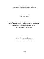 NGHIÊN CỨU THỦY PHÂN PROTEIN HÒA TAN CÓ KHẢ NĂNG KHÁNG OXY HÓA TỪ THỊT CÁ LÓC NUÔI