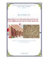 Dự án đầu tư nhà máy cưa xẻ, sấy gỗ sản xuất ván ép và viên nén gỗ 