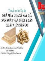 Dự án nhà máy cưa xẻ sấy gỗ, sản xuất vép ép, gỗ ghép thanh, viên nén gỗ thanh hóa 