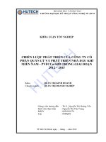 LUẬN văn QUẢN TRỊ KINH DOANH chiến lược phát triển của công ty cổ phần quản lý và phát triển nhà dầu khí miền nam   PVFCCo   SBD 