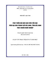 Phát triển đội ngũ giáo viên tiểu học trên địa bàn thành phố Bắc Ninh, tỉnh Bắc Ninh theo chuẩn nghề nghiệp (Luận văn thạc sĩ)
