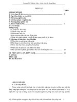 Một số kinh nghiệm trong giảng dạy và ôn thi học sinh giỏi môn toán bằng tiếng anh