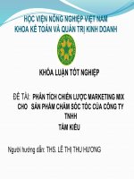 PHÂN TÍCH CHIẾN lược MARKETING MIX CHO sản PHẨM CHĂM sóc tóc của CÔNG TY TNHH tầm KIỀU 