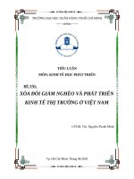 xóa đói giảm nghèo và phát triển kinh tế thị trường ở việt nam 
