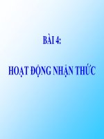 BÀI 4 HOẠT ĐỘNG NHẬN THỨC