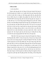 Một vài kinh nghiệm chỉ đạo làm tốt công tác phổ cập giáo dục ở trường tiểu học8