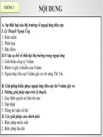 Vedan xả thải gây ô nhiễm sông thị vải’’  bằng việc ứng dụng cơ sở lý thuyết về ngoại tác tiêu cực để phân tích sự thất bại của thị trường về ngoại ứng tiêu cực và sự can thiệp của chính phủ 