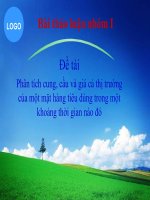 Phân tích cung, cầu và giá cả thị trường của một mặt hàng tiêu dùng trong một khoảng thời gian nào đó 