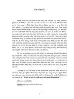 Tiểu luận tình huống quản lý nhà nước ngạch chuyên viên: Trình tự, thủ tục giải quyết khiếu nại hành chính