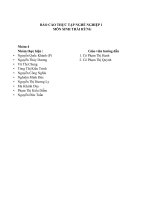 BÁO CÁO THỰC TẬP NGHỀ NGHIỆP 1 MÔN SINH THÁI RỪNG