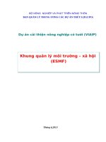 Dự án cải thiện nông nghiệp có tưới (VIAIP)