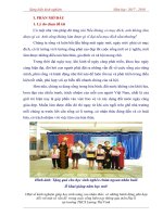 Một số kinh nghiệm giúp học sinh nâng cao nhận thức, có những hành động phù hợp đối với một số vấn đề  trong cuộc sống hiện nay thông qua môn địa lí