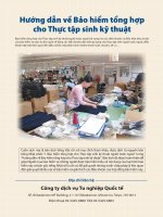 Hướng dẫn về Bảo hiểm tổng hợp cho Thực tập sinh kỹ thuật