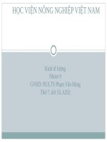 bài tập kinh tế lượng tham khảo 