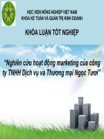 Nghiên cứu hoạt động marketing của công ty TNHH dịch vụ và thương mại ngọc tươi 