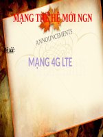 MẠNG THẾ hệ mới NGN mạng 4g lte 