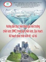 Hướng Dẫn Thực Hiện Đánh Giá Môi Trường Chiến Lược (ĐMC) Trong Lập Chiến Lược, Quy Hoạch, Kế Hoạch Phát Triển Kinh Tế - Xã Hội