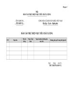 Phụ lục 5   báo cáo THỰC HIỆN MTCL 