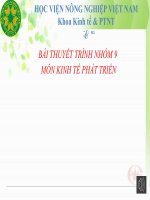 THỰC TRẠNG và GIẢI PHÁP CHO DI cư NÔNG THÔN – THÀNH THỊ ở VIỆT NAM 