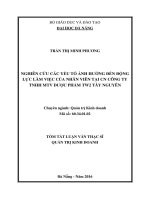 Nghiên cứu các yếu tố ảnh hưởng đến động lực làm việc của nhân viên tại chi nhánh ccng ty TNHH MTV dược phẩm TW2 tây nguyên (tt) 