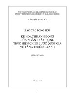BÁO CÁO TỔNG HỢP KẾ HOẠCH HÀNH ĐỘNG CỦA NGÀNH XÂY DỰNG THỰC HIỆN CHIẾN LƯỢC QUỐC GIA VỀ TĂNG TRƯỞNG XANH