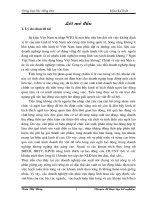 Báo cáo thực tập tốt nghiệp chuyên ngành kê toán đề tài: Kế toàn tiền lương và các khoản trích theo lương tại Công ty Cổ phần Vận tải viễn dương Nam