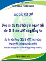 BÁO CÁO KẾT QUẢ Điều tra, thu thập thông tin nguồn thải năm 2012 trên LVHT sông Đồng Nai