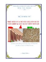 Dự án Nhà máy cưa xẻ sấy gỗ, sản xuất ván ghép và sản xuất viên nén gỗ