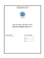 Báo cáo thực tập tốt nghiệp chuyên ngành kinh tế kế toán quản trị (1117) 