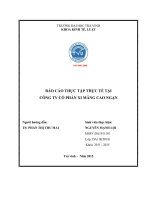 Báo cáo thực tập tốt nghiệp chuyên ngành kinh tế kế toán quản trị (228) 