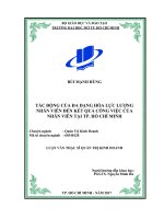 tác động của đa dạng hóa lực lượng nhân viên đến kết quả công việc của nhân viên tại tp  hồ chí minh 