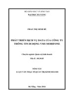 Phát triển dịch vụ data của công ty thông tin di động VMS mobifone (tt) 