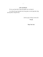 Đặc điểm quặng hóa chì  kẽm khu vực Phia Khao  Đèo An vùng Chợ Đồn, Bắc Kạn