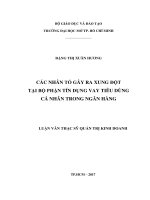 các nhân tố gây ra xung đột tại bộ phận tín dụng vay tiêu dùng cá nhân trong ngân hàng 