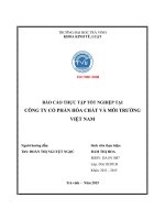 Công tác hạch toán tiêu thụ hàng hóa và xác định kết quả kinh doanh của Công ty CP hóa chất và môi trường Việt Nam