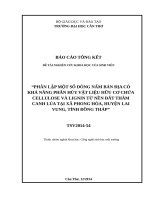 PHÂN LẬP MỘT SỐ DÒNG NẤM BẢN ĐỊA CÓ KHẢ NĂNG PHÂN HỦY VẬT LIỆU HỮU CƠ CHỨA CELLULOSE VÀ LIGNIN TỪ NỀN ĐẤT THÂM CANH LÚA TẠI XÃ PHONG HÒA, HUYỆN LAI VUNG, TỈNH ĐỒNG THÁP
