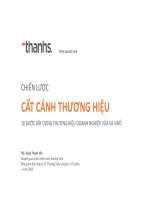 Chiến lược cất cánh thương hiệu