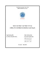 Báo cáo thực tập tốt nghiệp chuyên ngành kinh tế kế toán quản trị (227) 