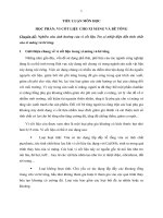 Vi cốt liệu trong bê tông xi măng